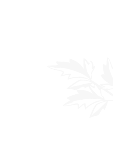 FIFA2026世界杯直播 